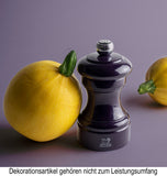 Foto Salzmühle Bistro Holz lackiert aubergine 10cm von Peugeot - maurer-gentlefield.com